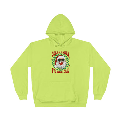 Sorry Santa I've Been Feral Unisex EcoSmart® Pullover Hoodie Sweatshirt